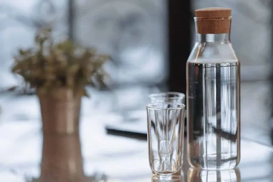 water ionizer